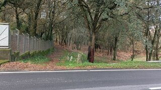 Land for sale in Santo Tirso, Portugal — €69,000