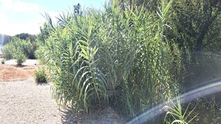 Land for sale in Pombal, Portugal — €13,000