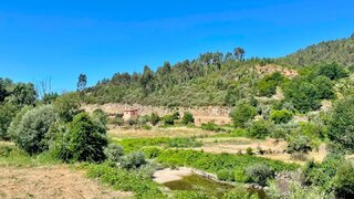 Land for sale in Tondela, Portugal — €35,000