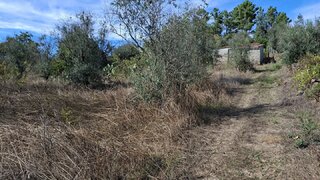 Terreno para venda em Penalva do Castelo, Portugal — 11 500 €
