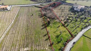 Land for sale in Mangualde, Portugal — €35,000