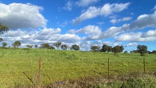 Land for sale in Serpa, Portugal — €110,000