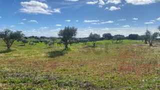 Land for sale in Serpa, Portugal — €90,000
