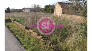 Land for sale in Anadia, Portugal — €65,000