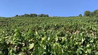 Land for sale in Carrazeda de Ansiães, Portugal