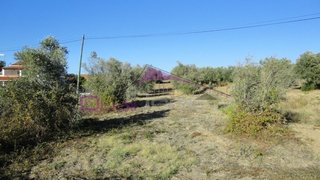 Land for sale in Torres Novas, Portugal — €75,000