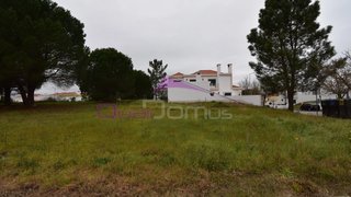 Terreno em Entroncamento