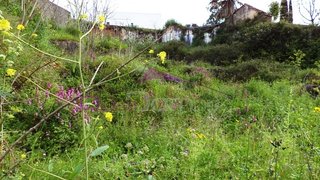 Land for sale in Alcanena, Portugal — €100,000