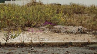 Land for sale in Torres Novas, Portugal — €60,000