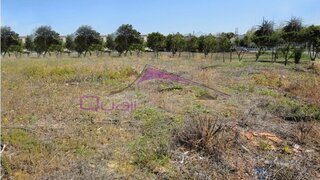 Land for sale in Torres Novas, Portugal — €63,000