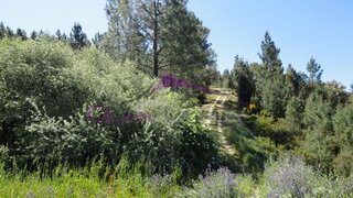 Land for sale in Constância, Portugal — €25,000