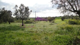 Land for sale in Torres Novas, Portugal — €27,500