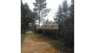 Land for sale in Alcanena, Portugal — €17,000