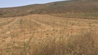 Land for sale in Vila do Bispo, Portugal — €25,000
