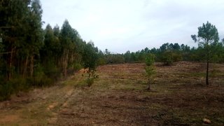 Land for sale in Aljezur, Portugal — €50,000