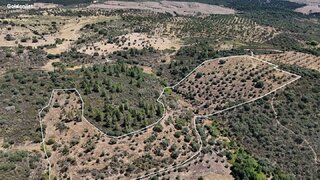 Land for sale in Idanha-a-Nova, Portugal — €25,000