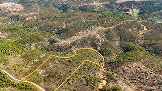 Terreno de 40 640 m² em Castelo Branco