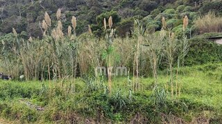 Land for sale in Santa Cruz, Portugal — €190,000