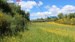 Land for sale in Macedo de Cavaleiros, Portugal — €80,000