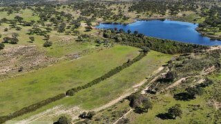 Terreno de 2 560 000 m² em Castelo Branco