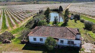 Land for sale in Idanha-a-Nova, Portugal — €320,000