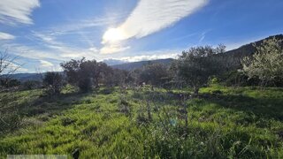 Land for sale in Fundão, Portugal — €55,000