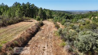 Terreno de 30 000 m² em Castelo Branco