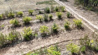 Terreno para venda em Fundão, Portugal — 29 900 €