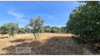Land for sale in Penamacor, Portugal — €59,900