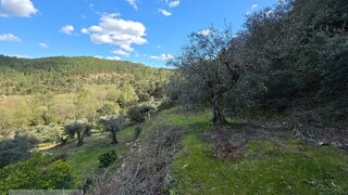 Land for sale in Castelo Branco, Portugal — €24,000