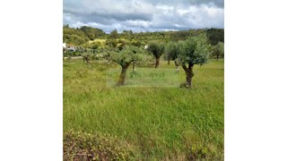 Land for sale in Tomar, Portugal — €22,000