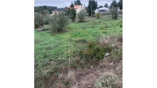 Land for sale in Tomar, Portugal — €44,000