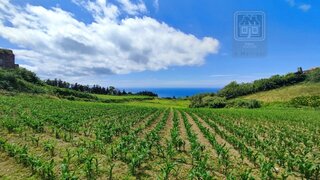 Land for sale in Ribeira Grande, Portugal — €40,000