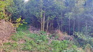 Land for sale in Ponta Delgada, Portugal — €67,000