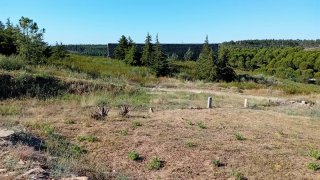 Terreno de 525 m² em Castelo Branco
