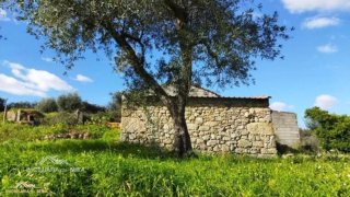 Terreno para venda em Fundão, Portugal — 55 000 €