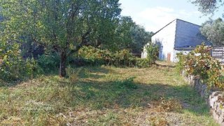 Terreno de 2200 m² em Castelo Branco