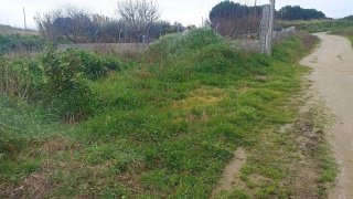 Terreno de 580 m² em Castelo Branco