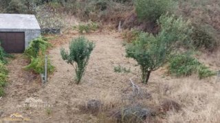 Terreno de 525 m² em Castelo Branco