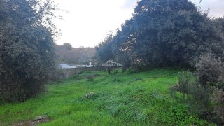 Terreno de 457 m² em Castelo Branco