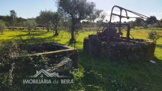 Terreno de 4025 m² em Castelo Branco