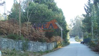 Land for sale in Oliveira de Azeméis, Portugal — €149,950