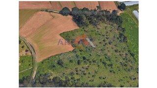 Land for sale in Oliveira de Azeméis, Portugal — €37,500