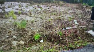 Terreno em Oliveira do Bairro