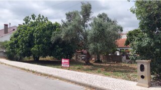 Land for sale in Entroncamento, Portugal — €68,900