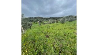 Land for sale in Mação, Portugal — €23,500