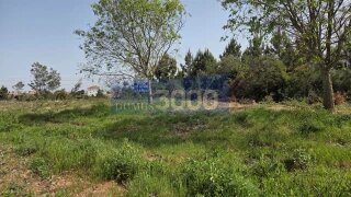Land for sale in Sabrosa, Portugal