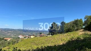 Land for sale in Peso da Régua, Portugal — €55,000
