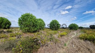 Land for sale in Palmela, Portugal — €130,000