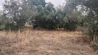 Land for sale in Alcácer do Sal, Portugal — €300,000